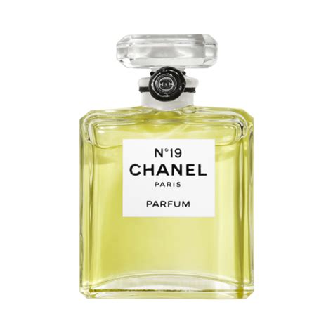 buy chanel no 19 perfume